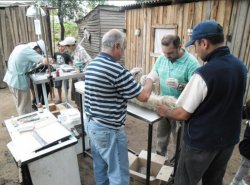 Concejales Proponen Castraciones Gratuitas para controlar la población de Mascotas en Saladas